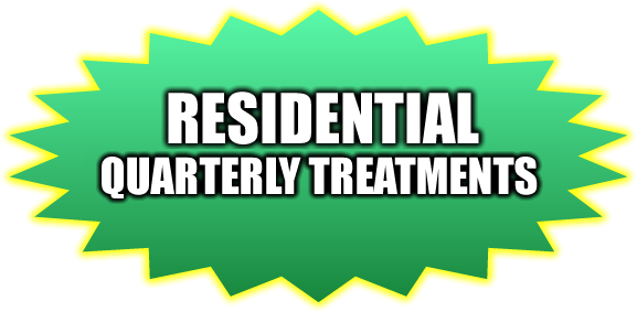 Quarterly Residential Pest Control